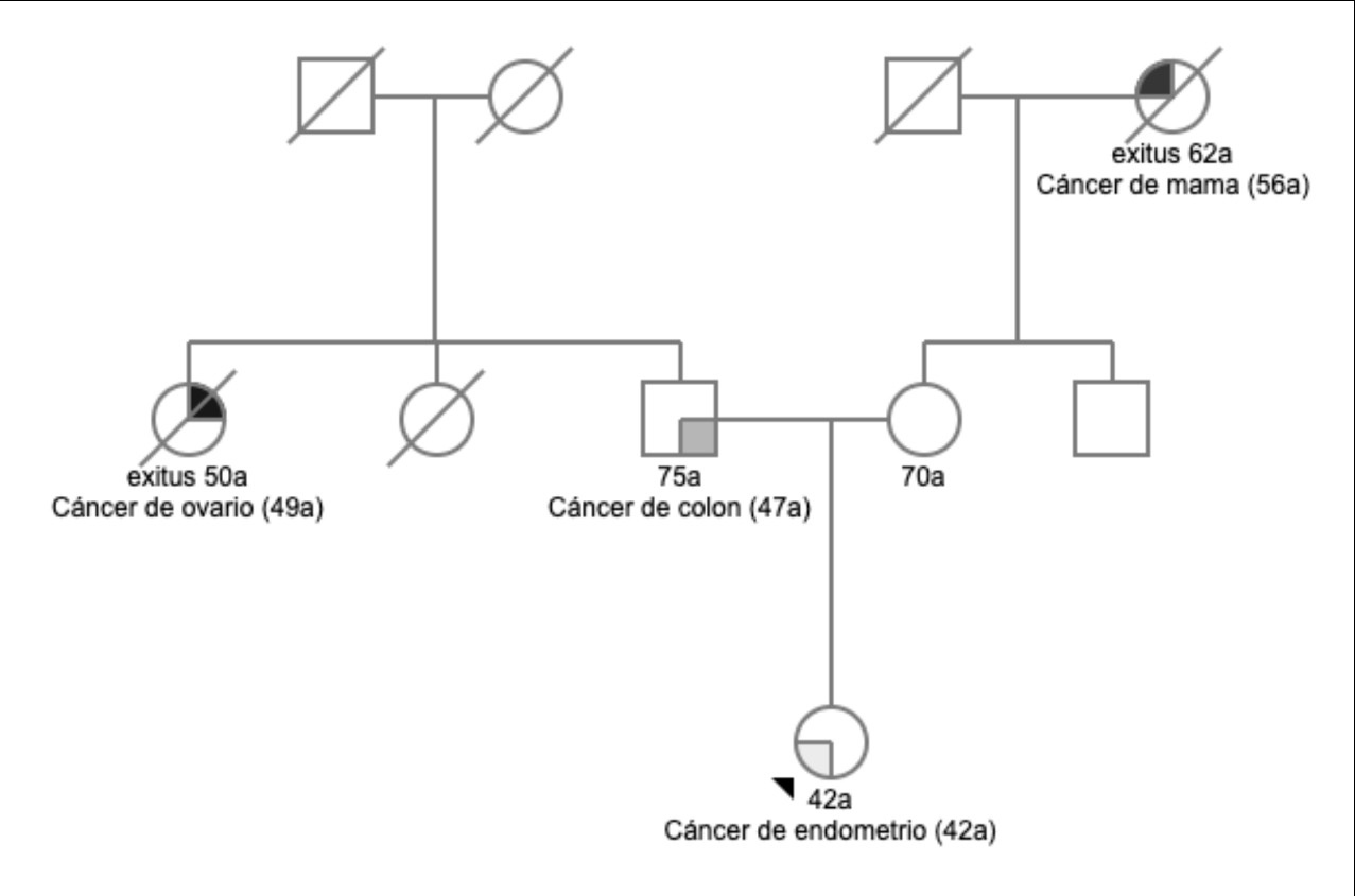 Síndrome de Lynch y cáncer colorrectal hereditario — imagen de la pregunta 1 del examen MIR 2024
