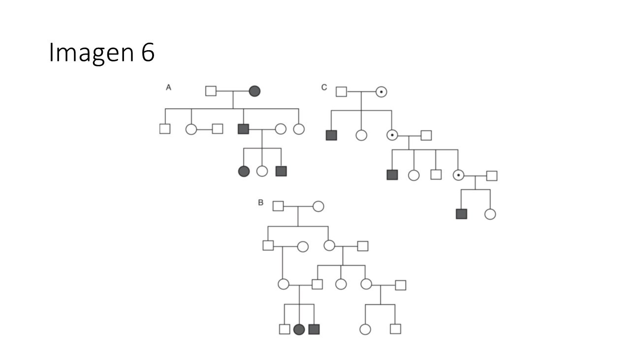 Patrones de herencia en árboles genealógicos — imagen de la pregunta 6 del examen MIR 2025